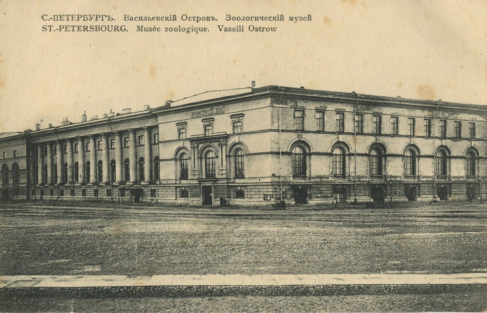 Василеостровский район Санкт-Петербурга